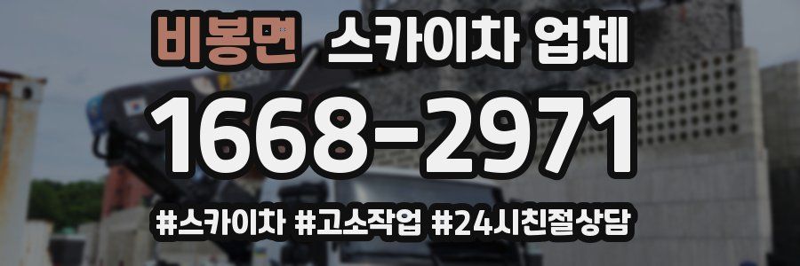 비봉면 스카이차 업체