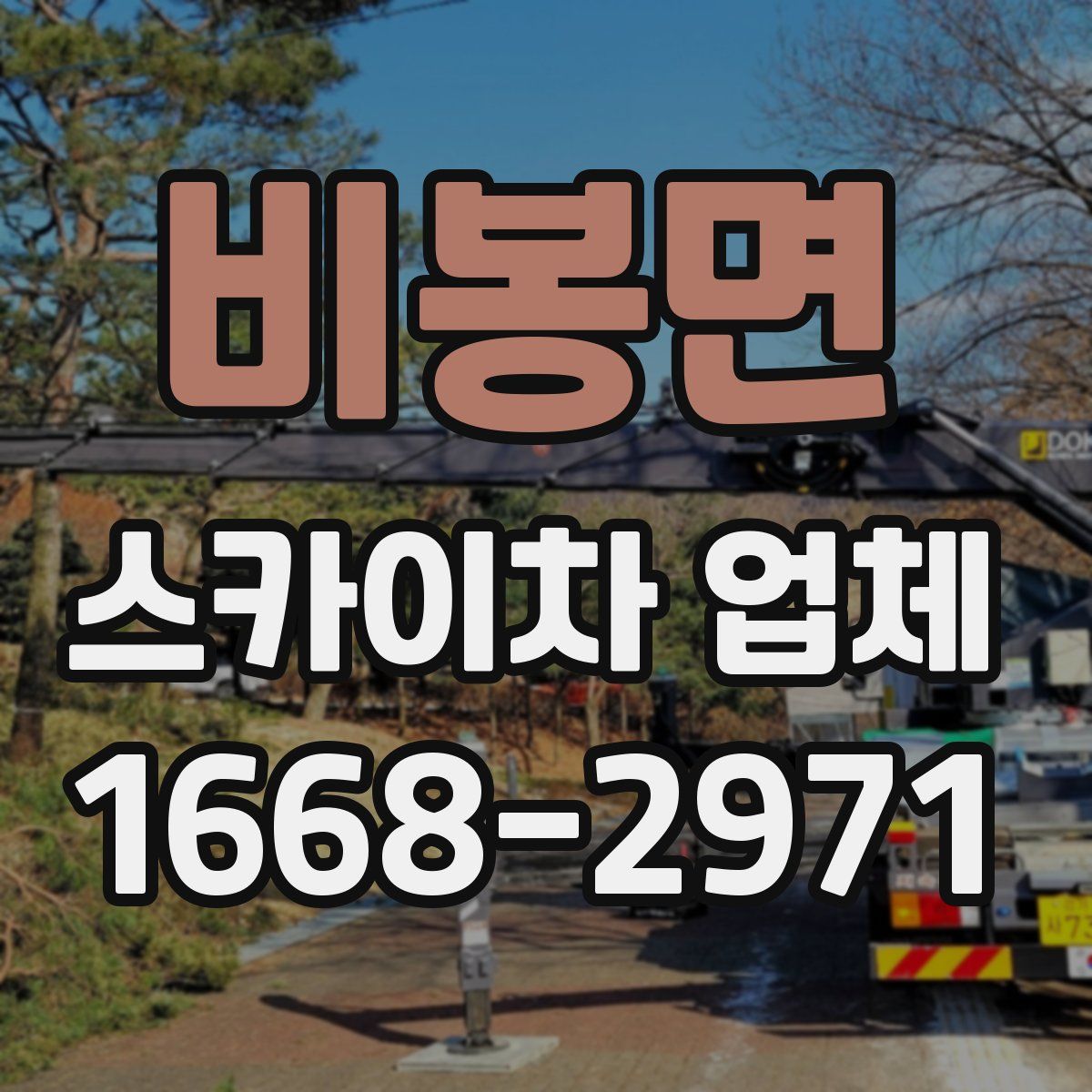 비봉면 스카이차 업체
