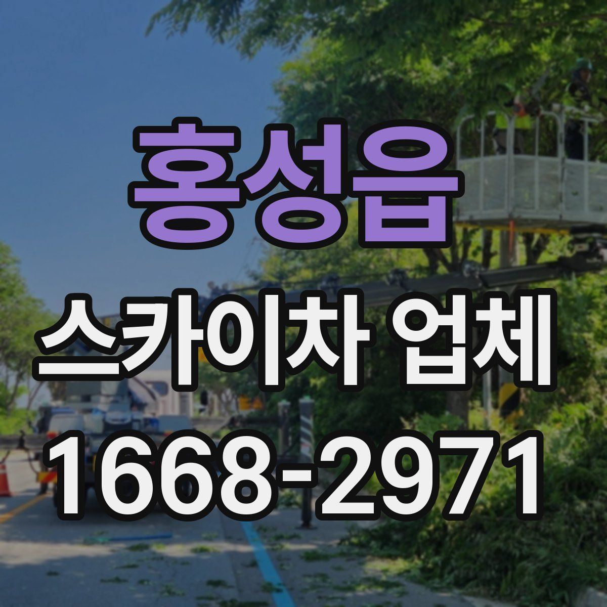 홍성읍 스카이차 업체