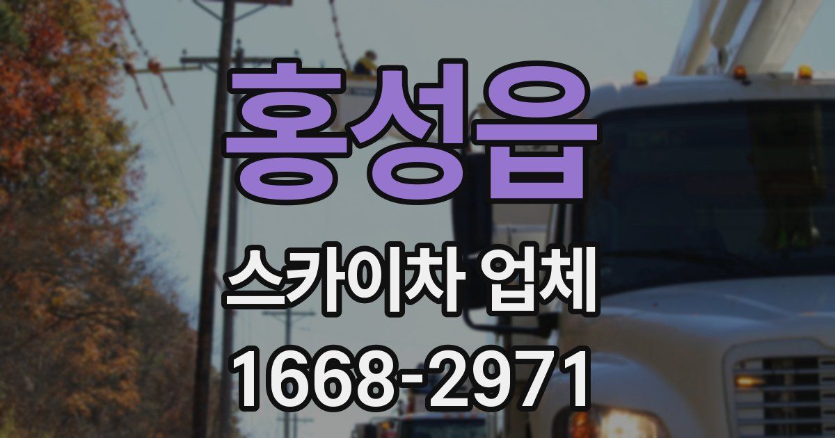 홍성읍 스카이차 업체