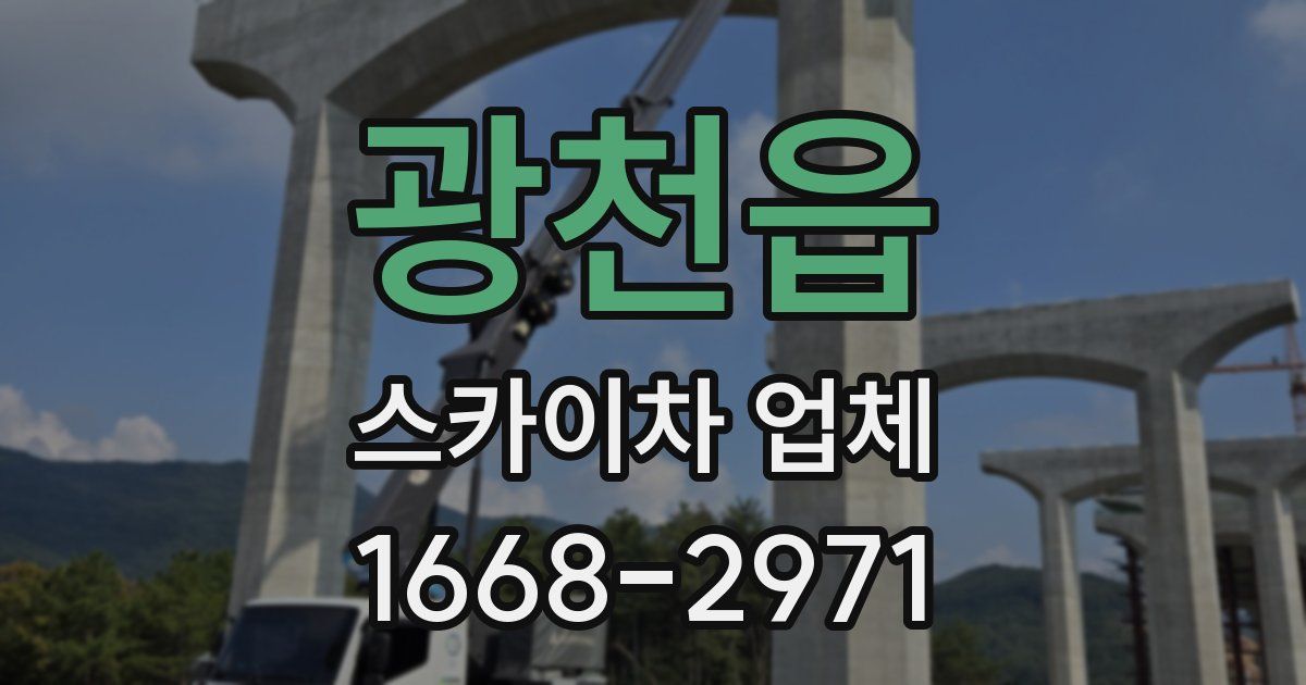 광천읍 스카이차 업체