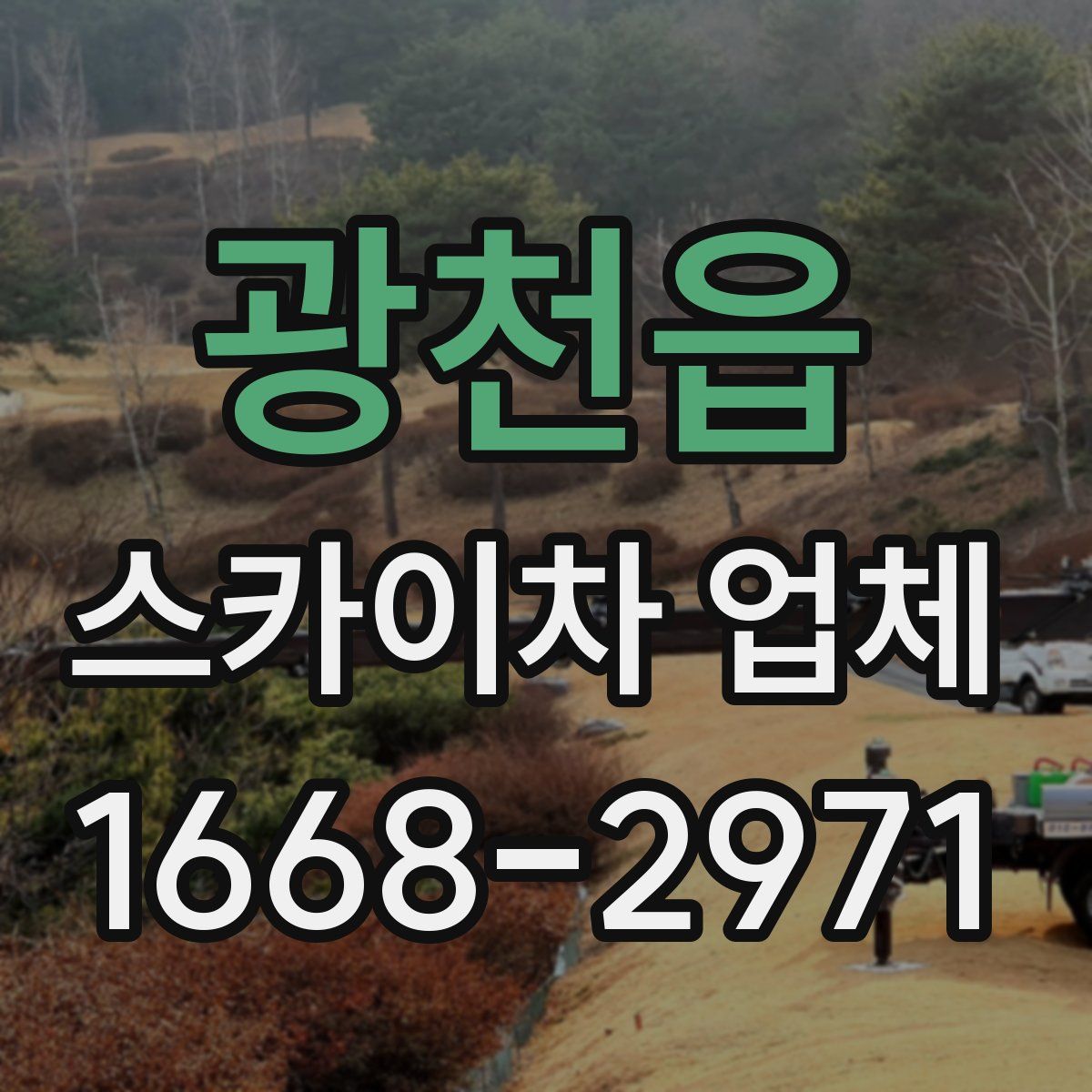 광천읍 스카이차 업체