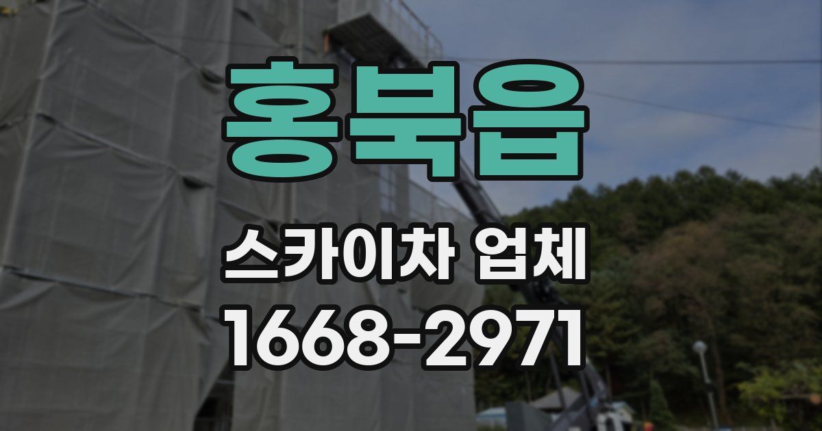 홍북읍 스카이차 업체