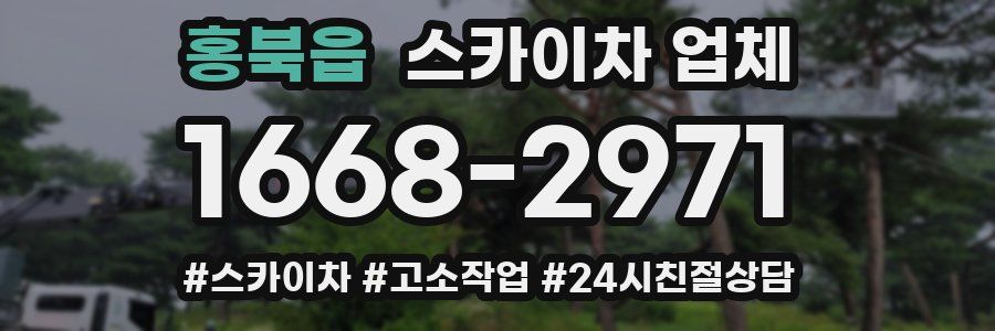 홍북읍 스카이차 업체