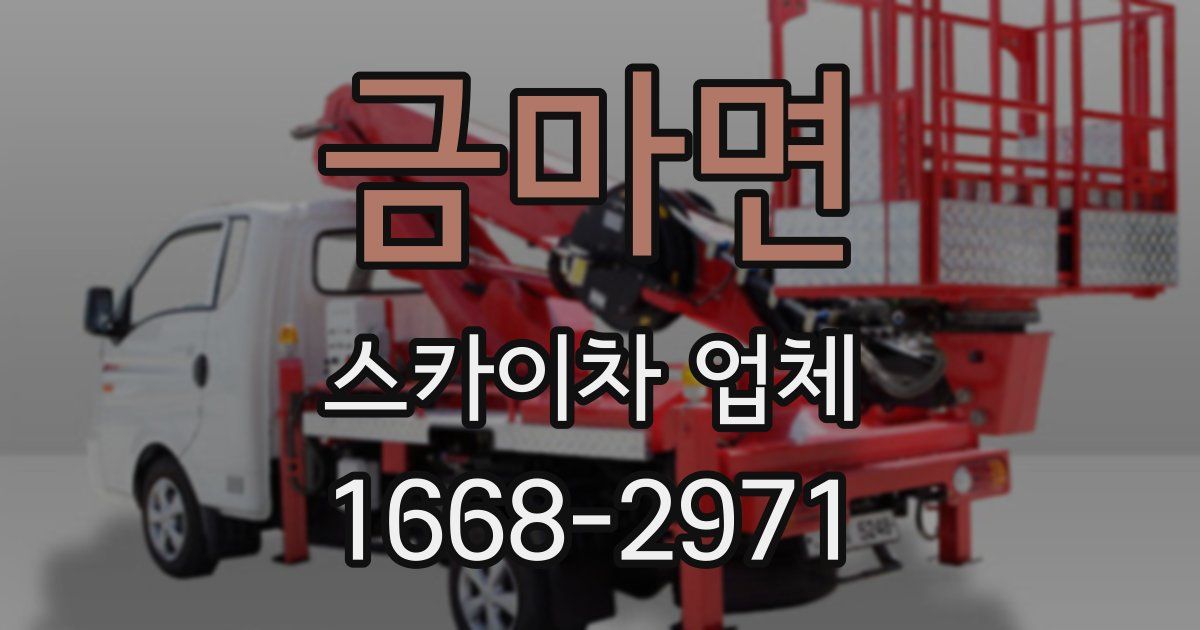 금마면 스카이차 업체