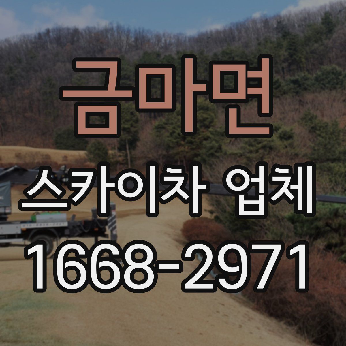 금마면 스카이차 업체
