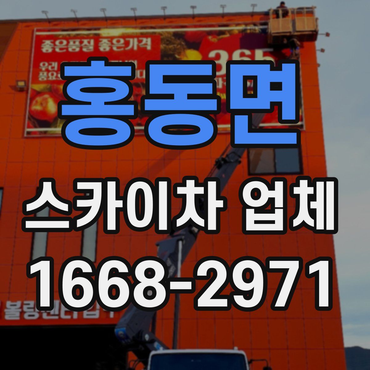 홍동면 스카이차 업체