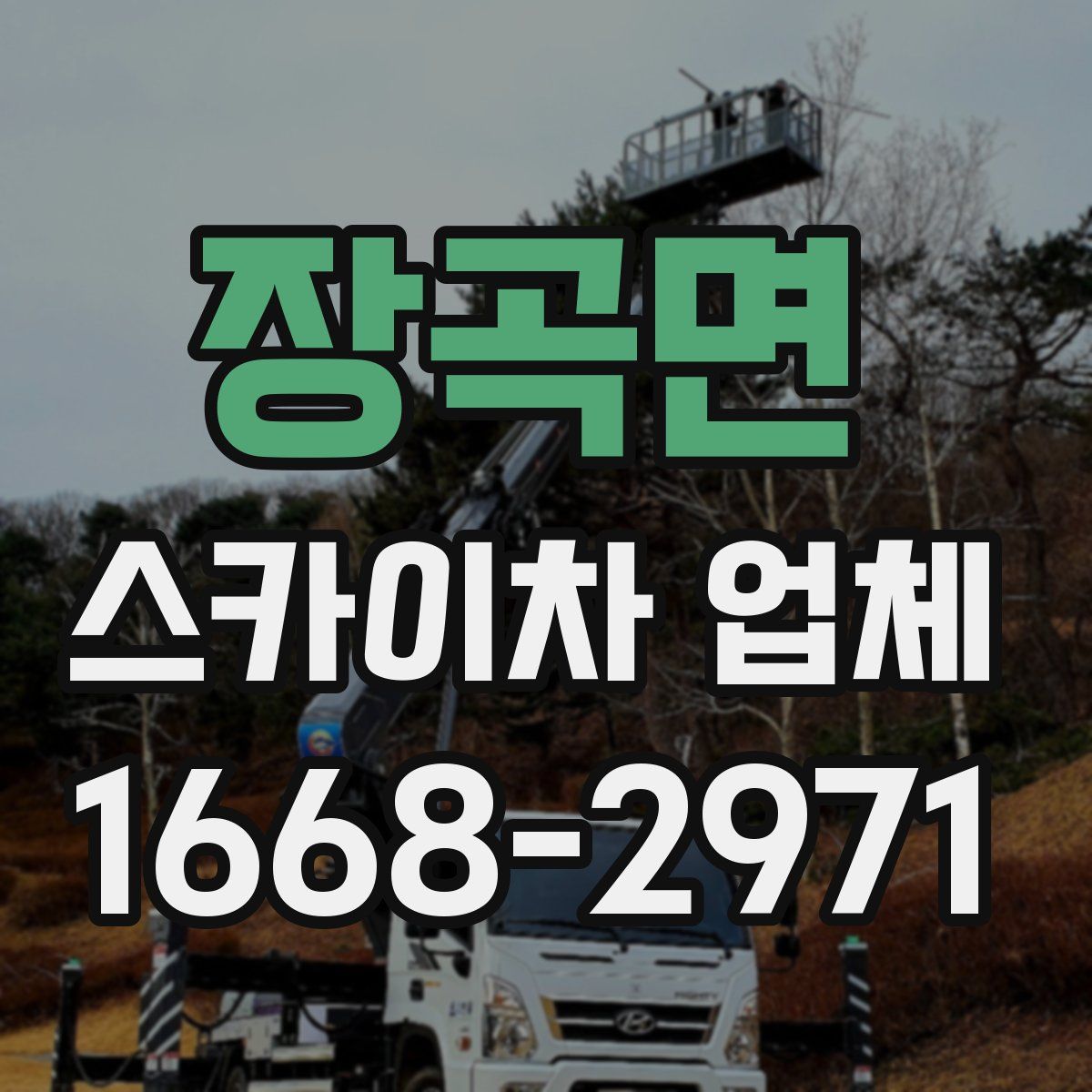 장곡면 스카이차 업체