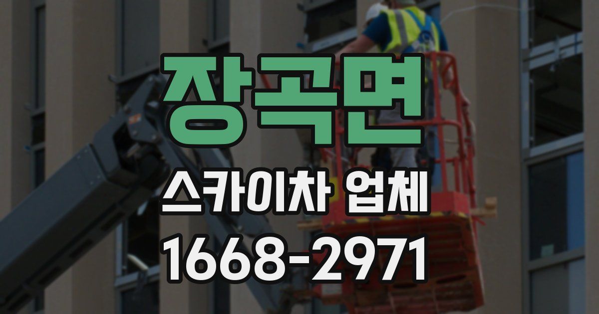 장곡면 스카이차 업체
