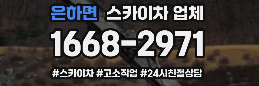 은하면 스카이차 업체