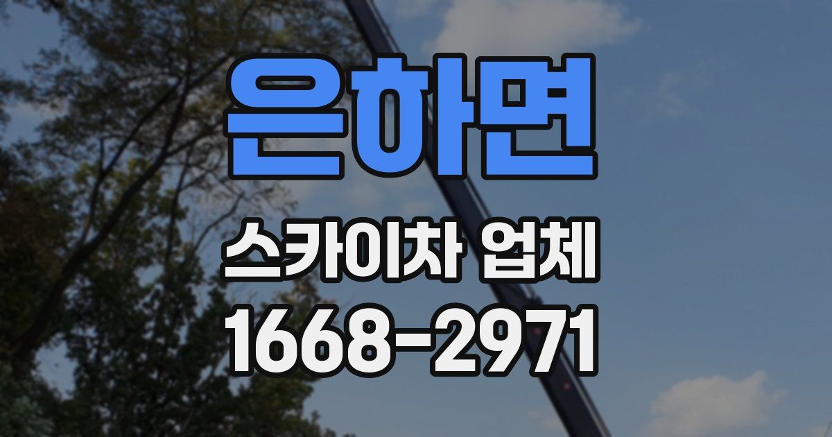 은하면 스카이차 업체