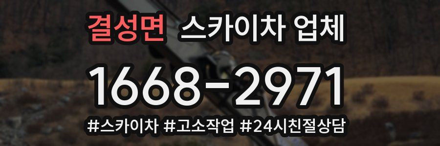 결성면 스카이차 업체