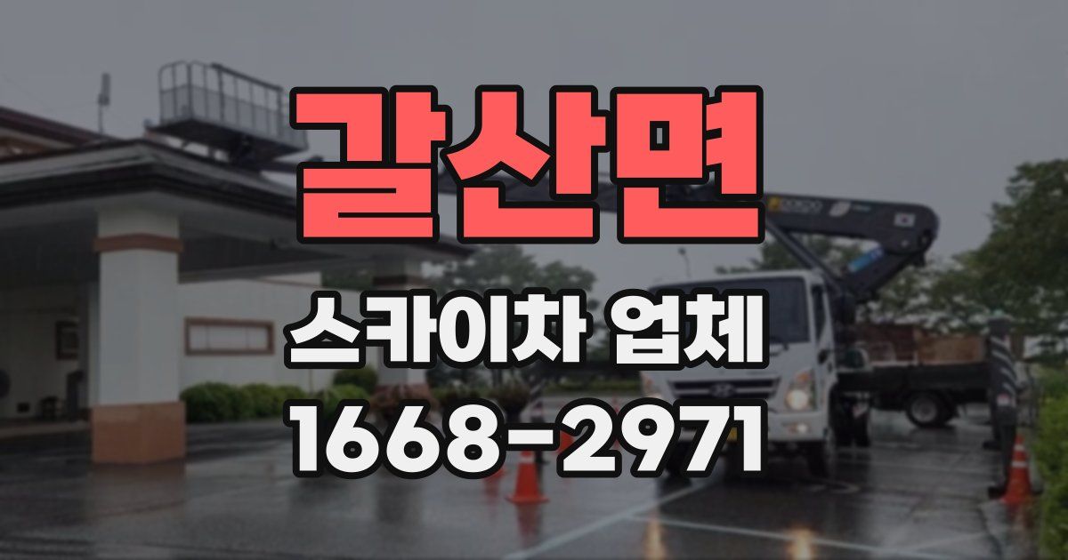 갈산면 스카이차 업체