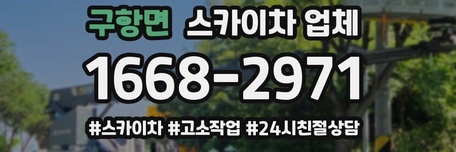 구항면 스카이차 업체