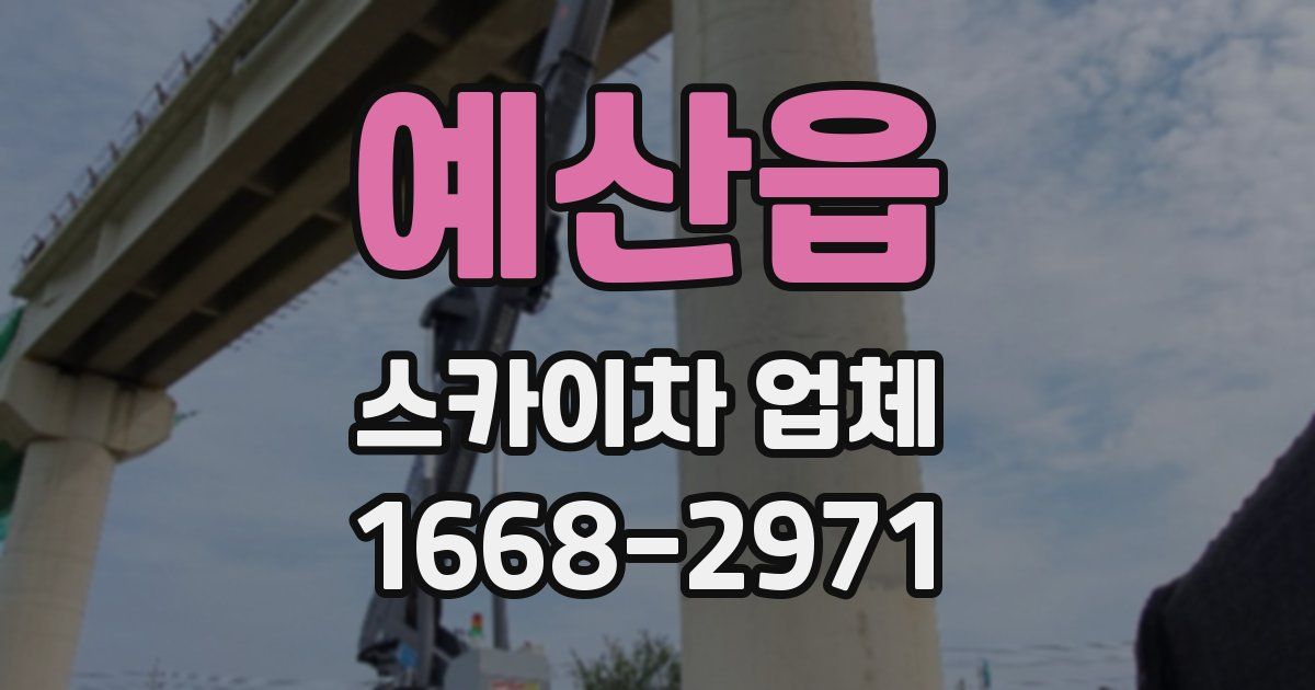 예산읍 스카이차 업체