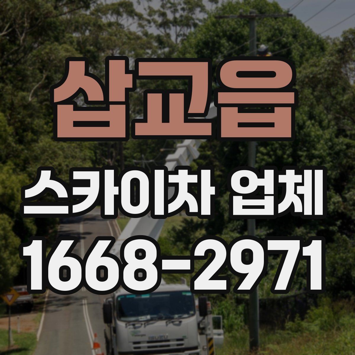 삽교읍 스카이차 업체 예약 전에 알아두면 좋은 정보