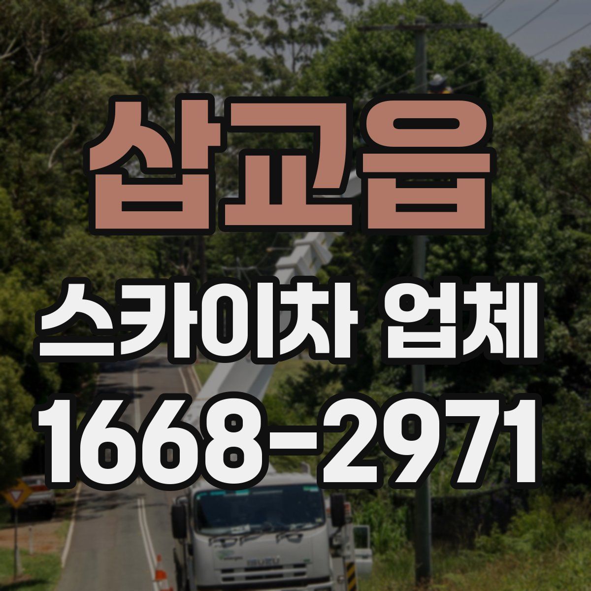 삽교읍 스카이차 업체