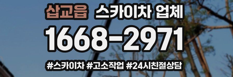 삽교읍 스카이차 업체