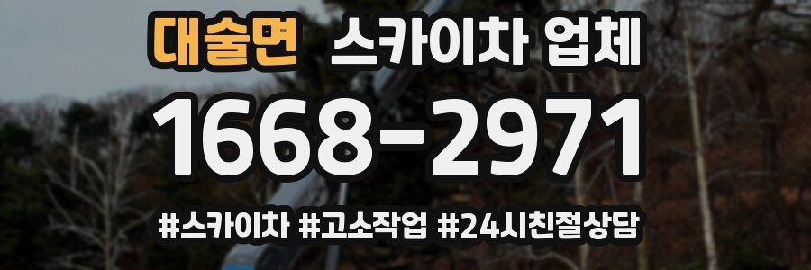 대술면 스카이차 업체