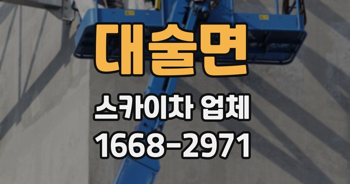 대술면 스카이차 업체