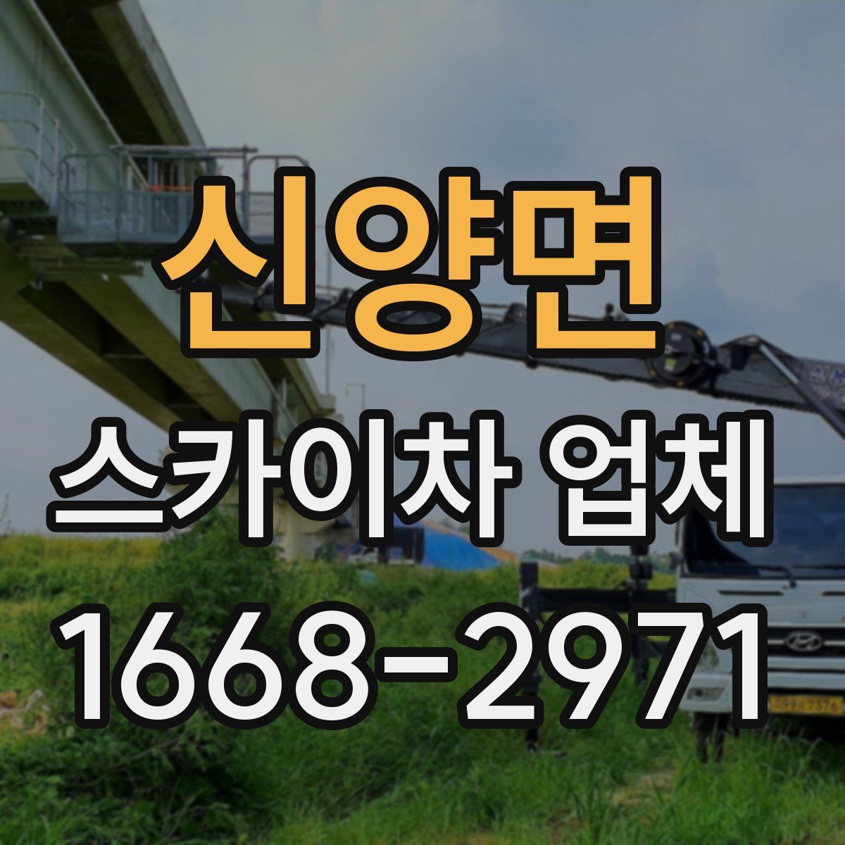 신양면 스카이차 업체