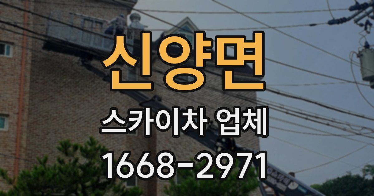 신양면 스카이차 업체