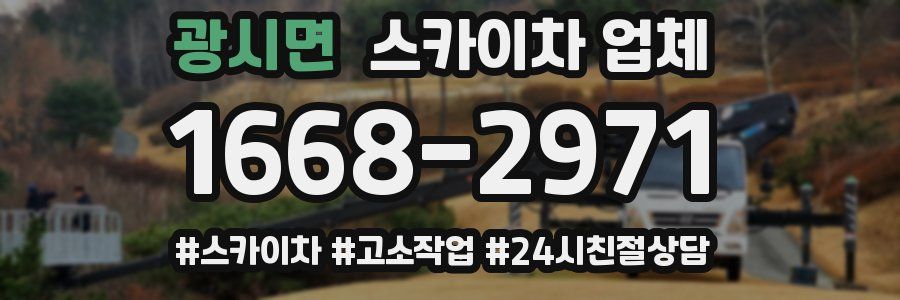 광시면 스카이차 업체