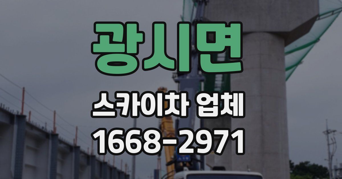 광시면 스카이차 업체