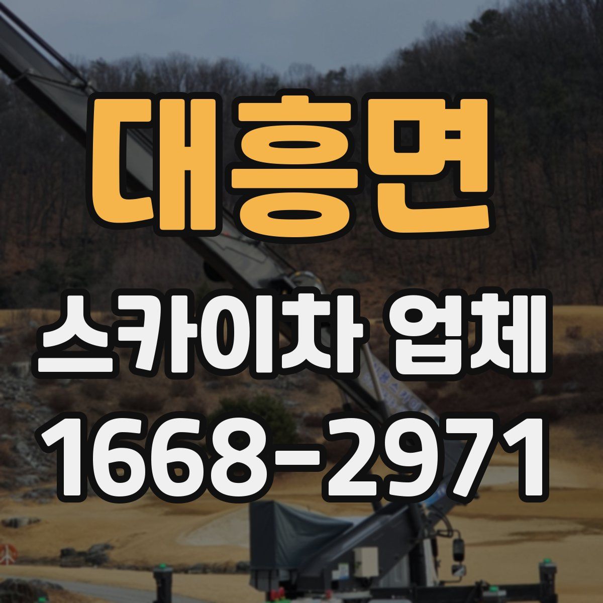대흥면 스카이차 업체