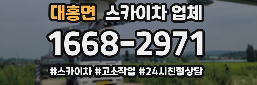 대흥면 스카이차 업체