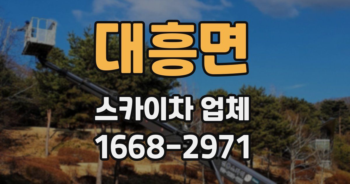 대흥면 스카이차 업체