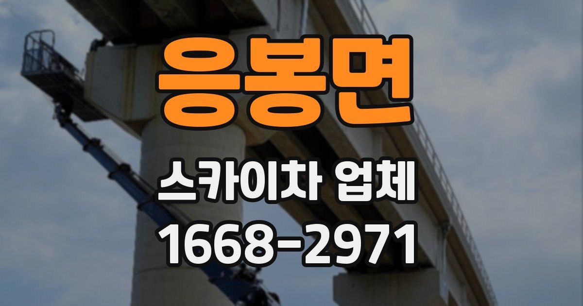 응봉면 스카이차 업체