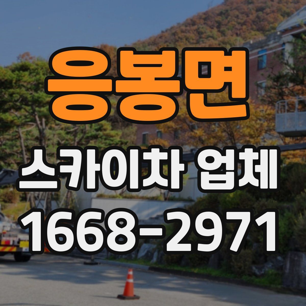 응봉면 스카이차 업체