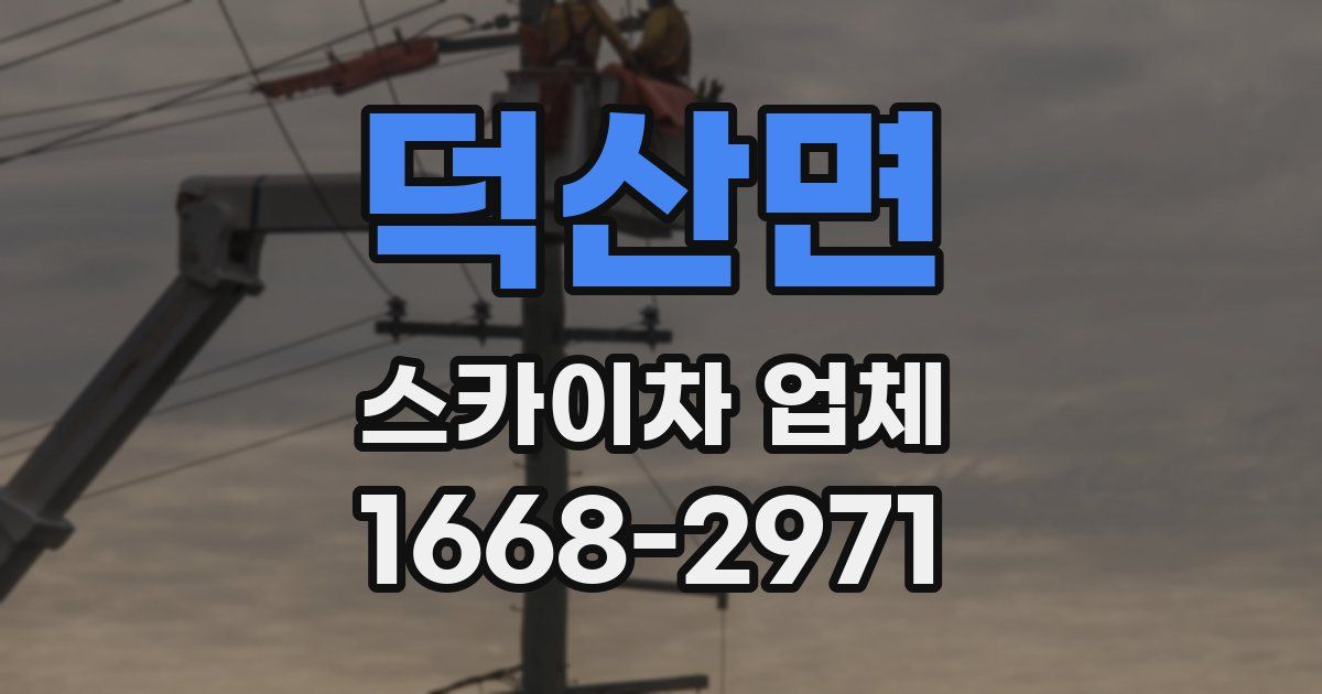 덕산면 스카이차 업체