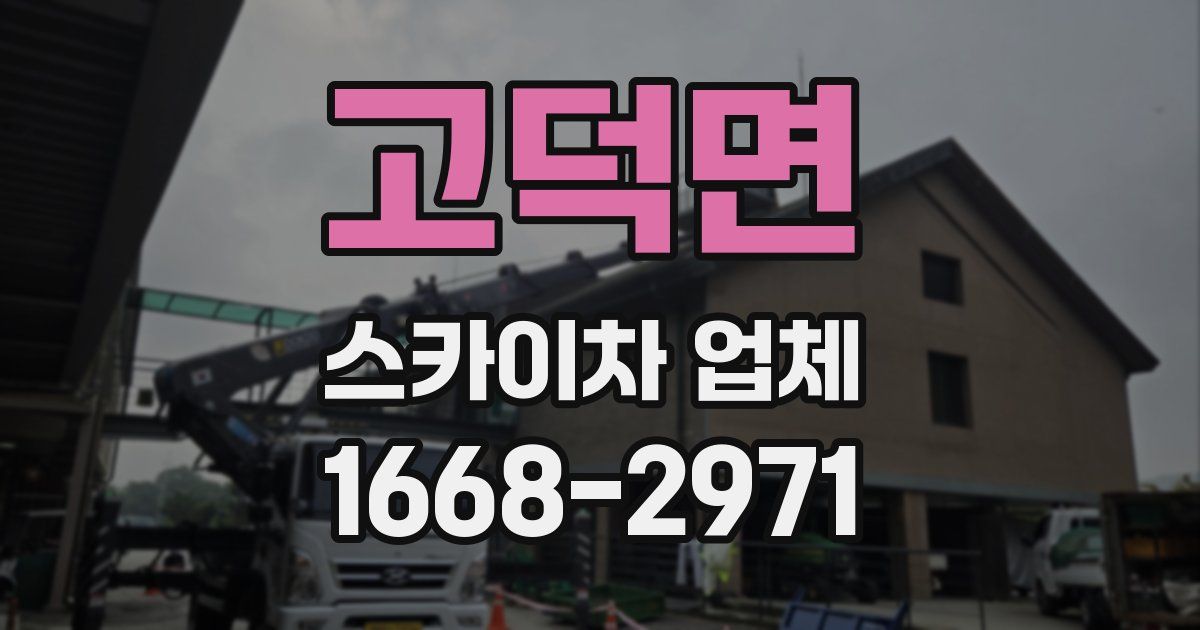 고덕면 스카이차 업체