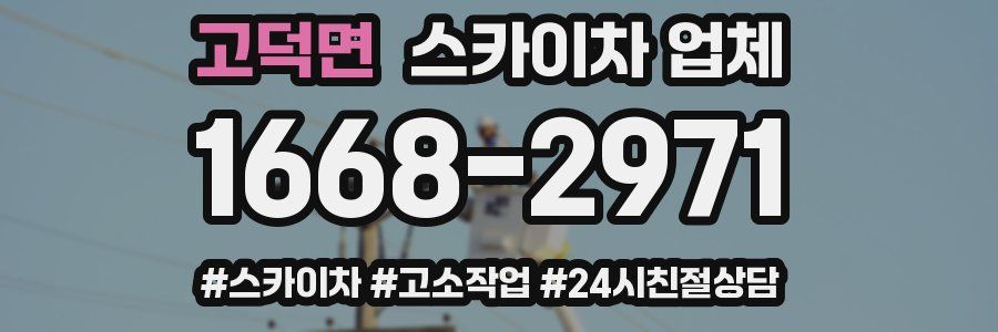 고덕면 스카이차 업체