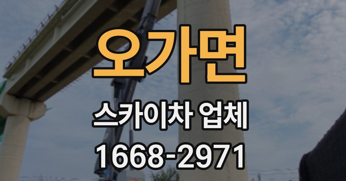 오가면 스카이차 업체