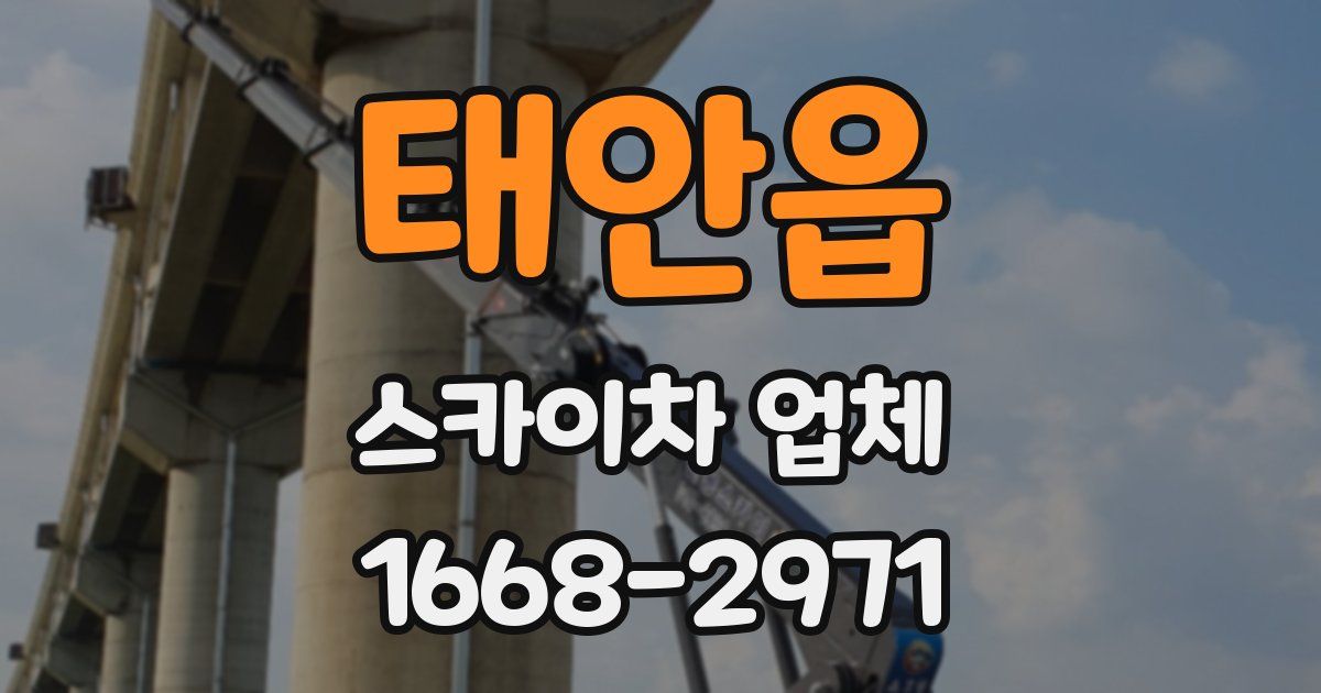 태안읍 스카이차 업체