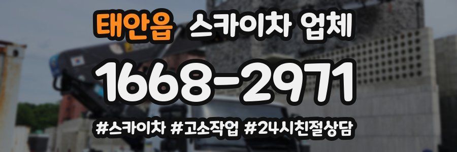 태안읍 스카이차 업체