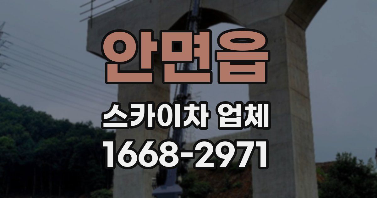 안면읍 스카이차 업체