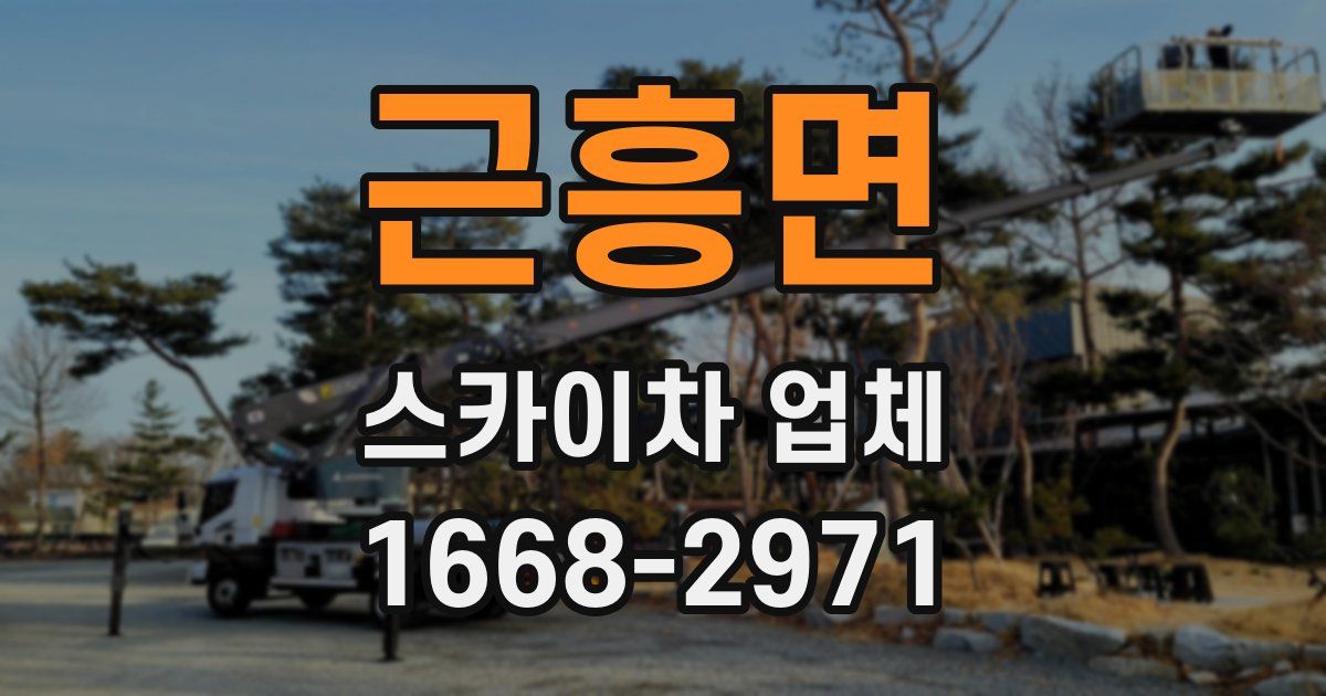 근흥면 스카이차 업체