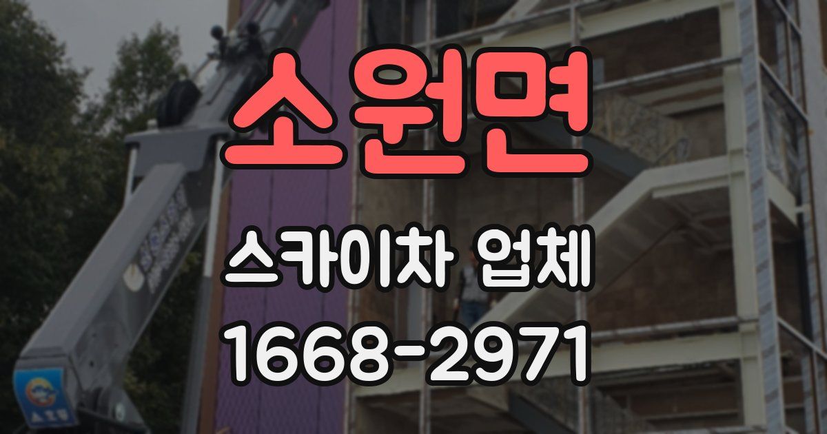 소원면 스카이차 업체