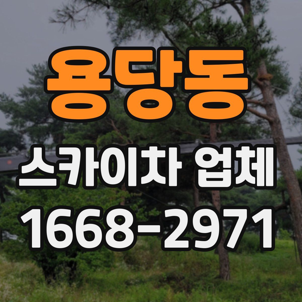 용당동 스카이차 업체