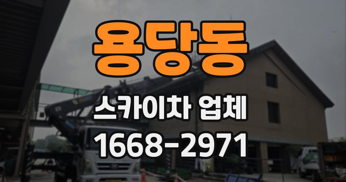 용당동 스카이차 업체
