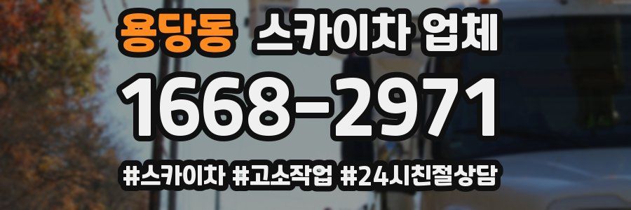 용당동 스카이차 업체