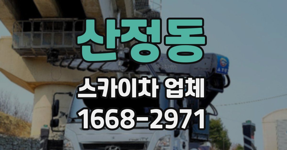 산정동 스카이차 업체