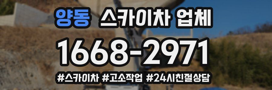 양동 스카이차 업체