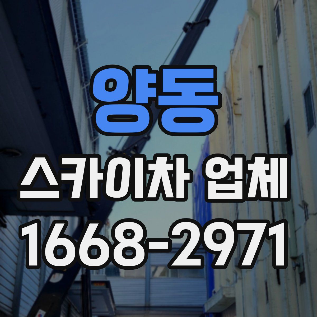 양동 스카이차 업체