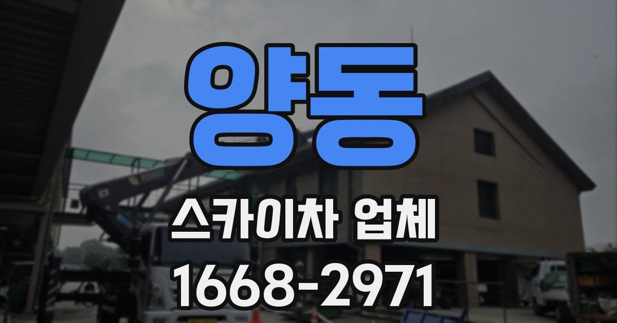 양동 스카이차 업체