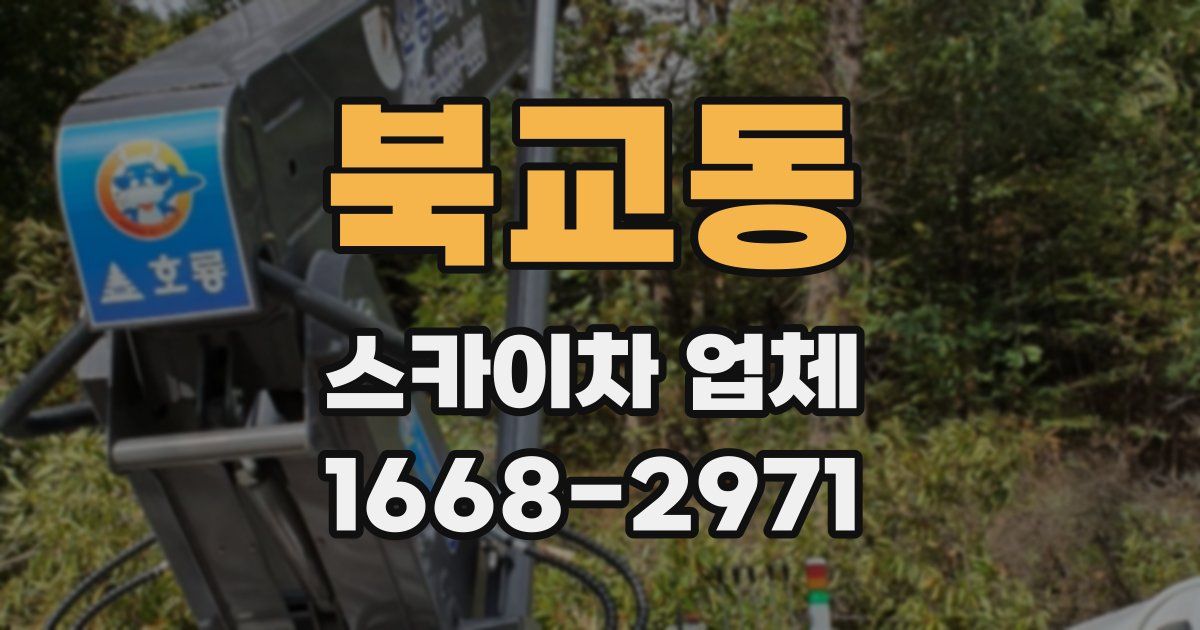 북교동 스카이차 업체